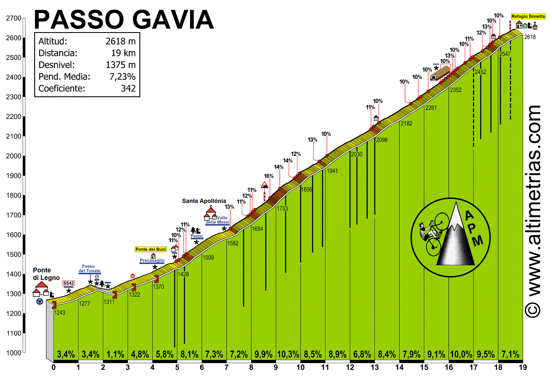 Gavia